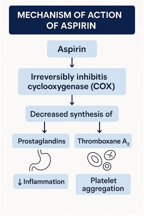 Understanding the Mechanism of Action