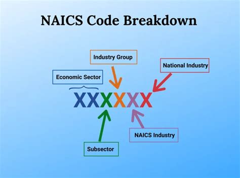 Understanding the NAICS Code System