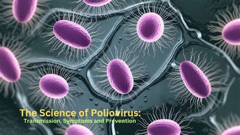 Understanding the Poliovirus and Its Impact