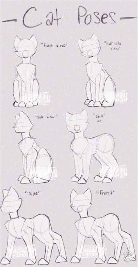 Understanding