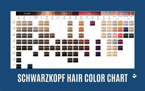 Understanding the Schwarzkopf Developer Range