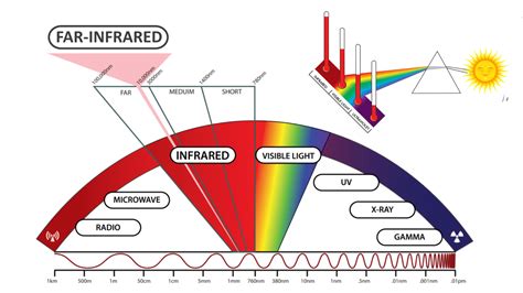 Understanding the Science How Infrared Curing Works