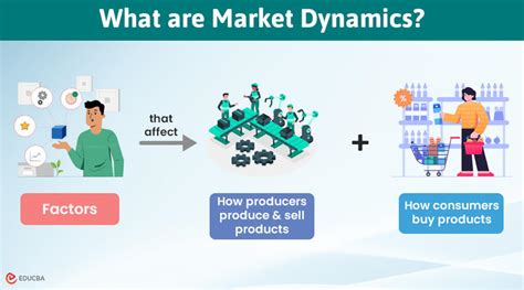 Understanding the Shift in 2022 Market Dynamics