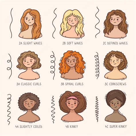Understanding the Structure of Fine Curly Hair