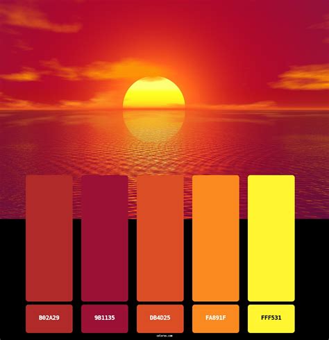 Understanding the Sunset: Light, Color, and Composition