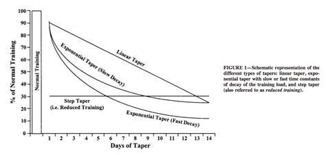 Understanding the Tapering Process