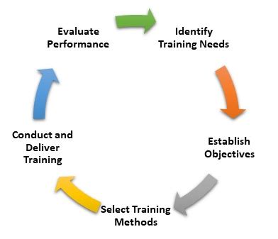 Understanding the Training Process