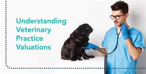 Understanding the Veterinary Recommendation Process