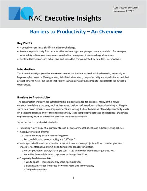 Understanding the barriers to productivity