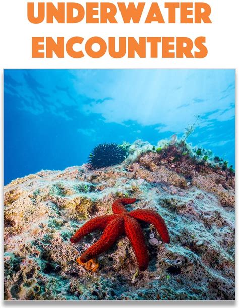 Underwater Encounters