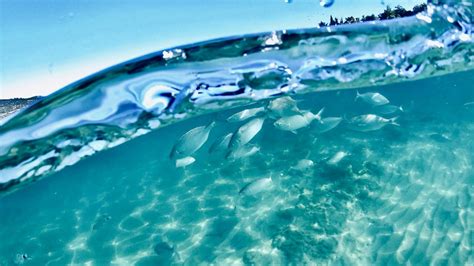 Underwater Scene Bodrum