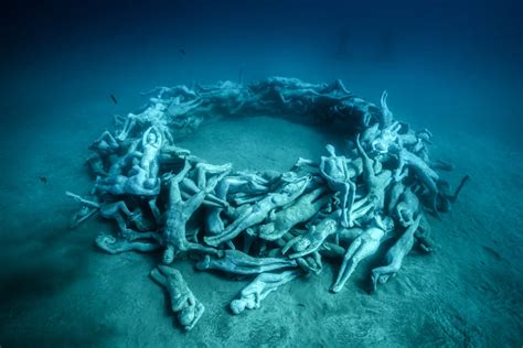 Underwater Sculptures Marine Life