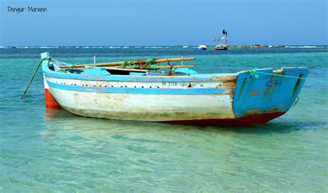Underwater View in Djerba