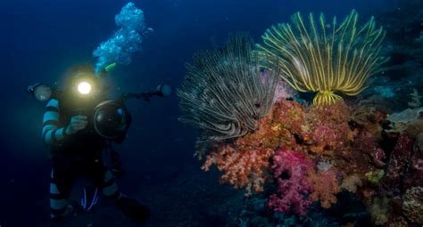 Underwater Visibility