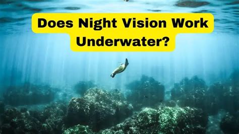 Underwater Visibility Night
