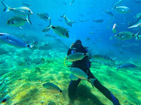 Underwater World Fethiye