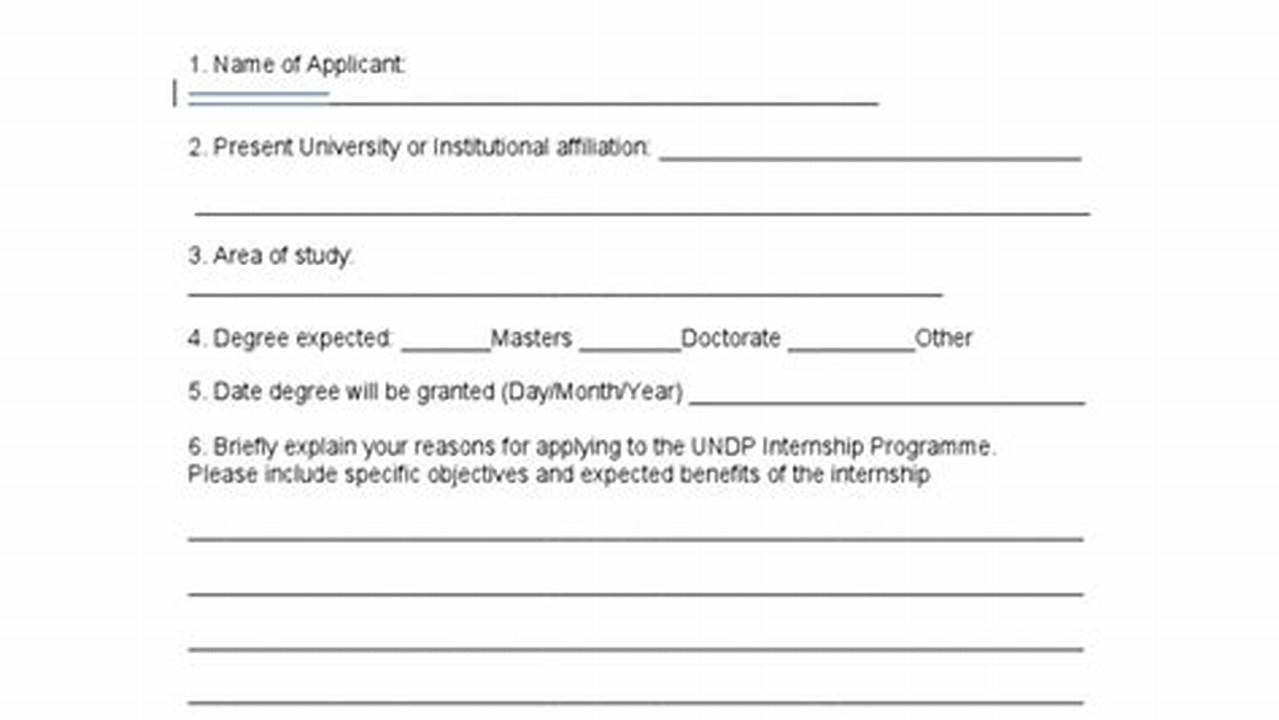 Undp Internship Application Form 2025