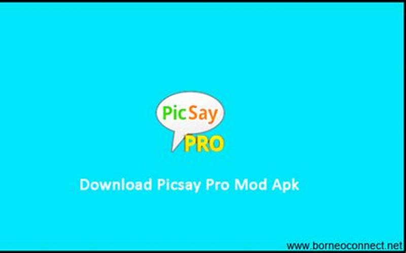 Unduh Picsay Pro