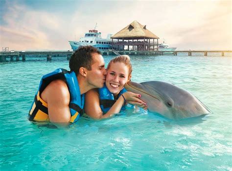 Unforgettable Dolphin Experience