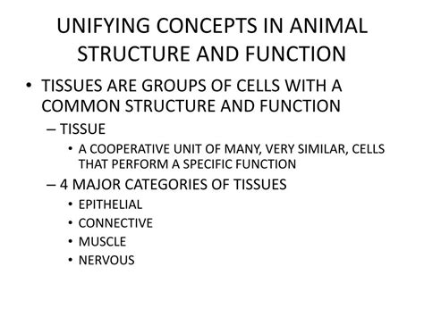 The Unity of Animal Structure and Function: Discovering the Interconnectedness in Biology