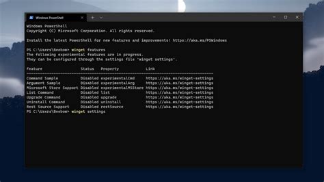Uninstall Apps Using Windows Package Manager