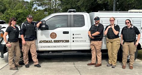 Effective and Humane Union City NJ Animal Control Services - Protect Your Community Today!