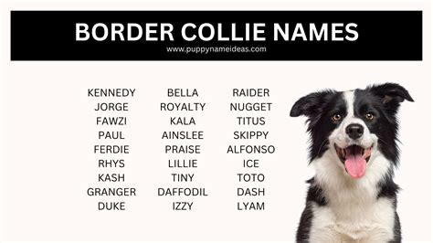 Weve rounded up the top names for Border Collies and Border Collie