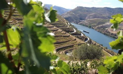 Unique Douro Valley Tour