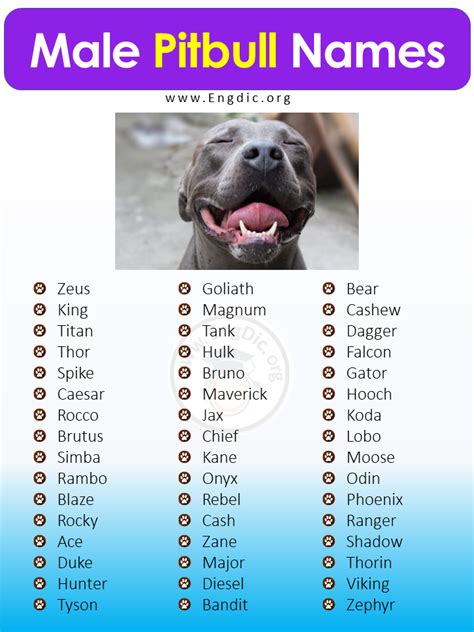 Pin on Pit Bull Terriers