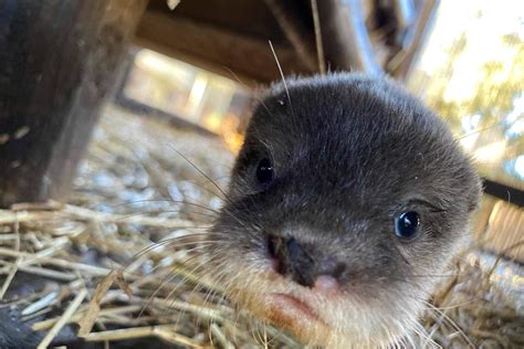 Unique animal encounter