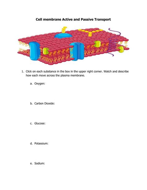 Unit 2 Worksheet -- Passive and Active Transport