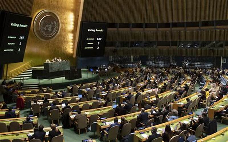 United Nations Israel Palestine