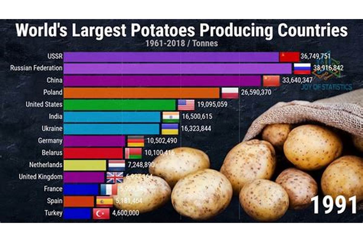 united states potato consumption