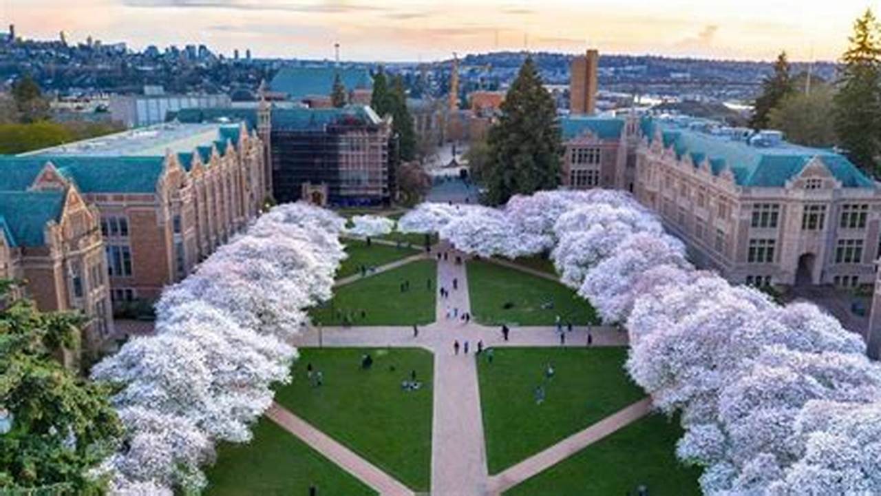 University Of Washington 2024