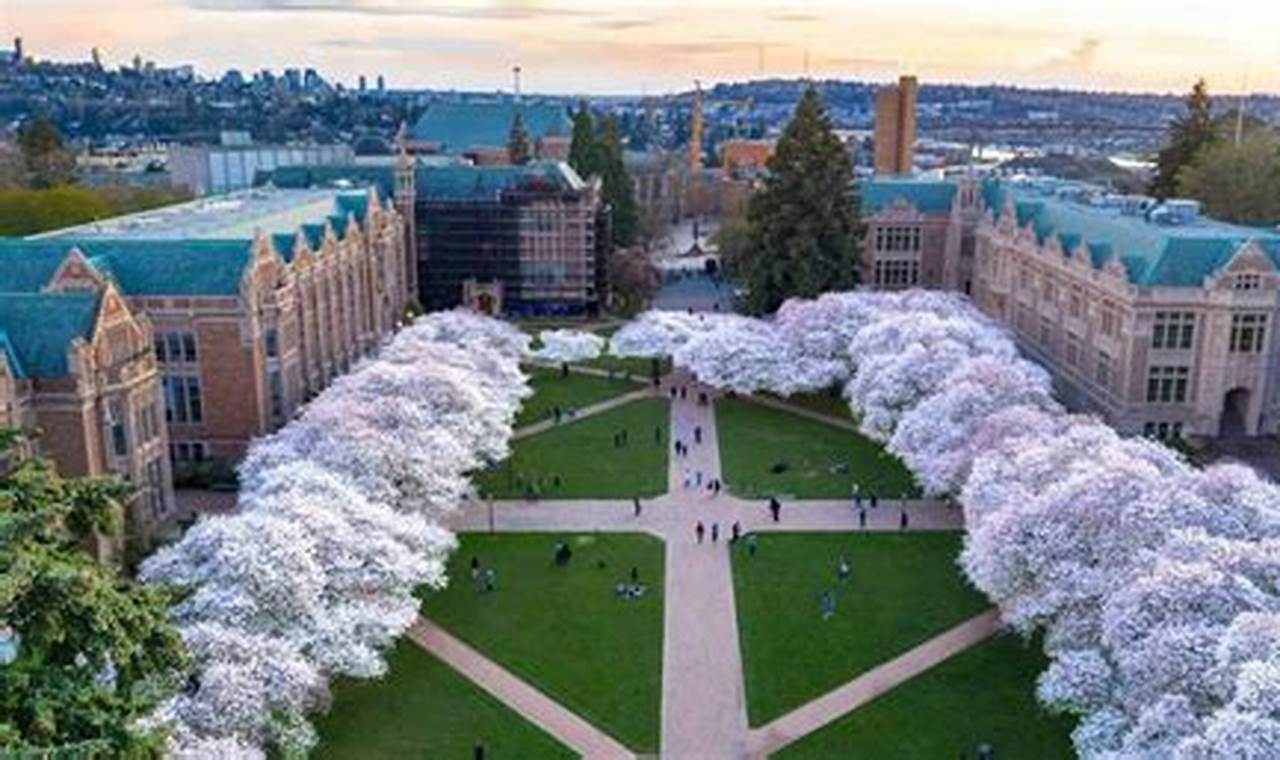 University Of Washington 2024