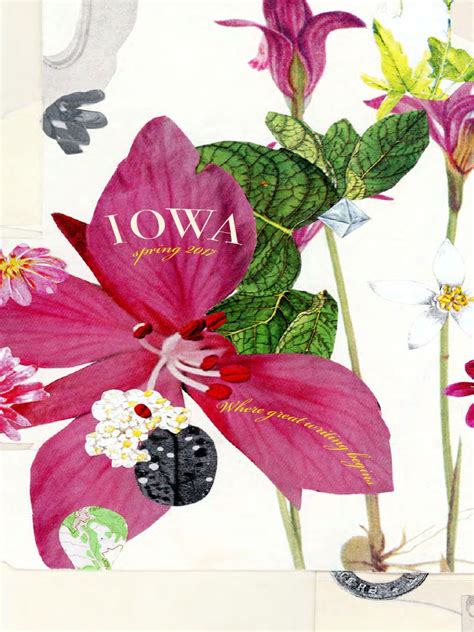 University Of Iowa Course Catalog Spring 2017