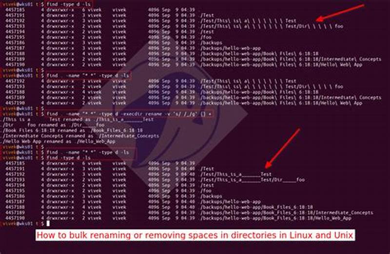 Unix Rename All Files With A Pattern