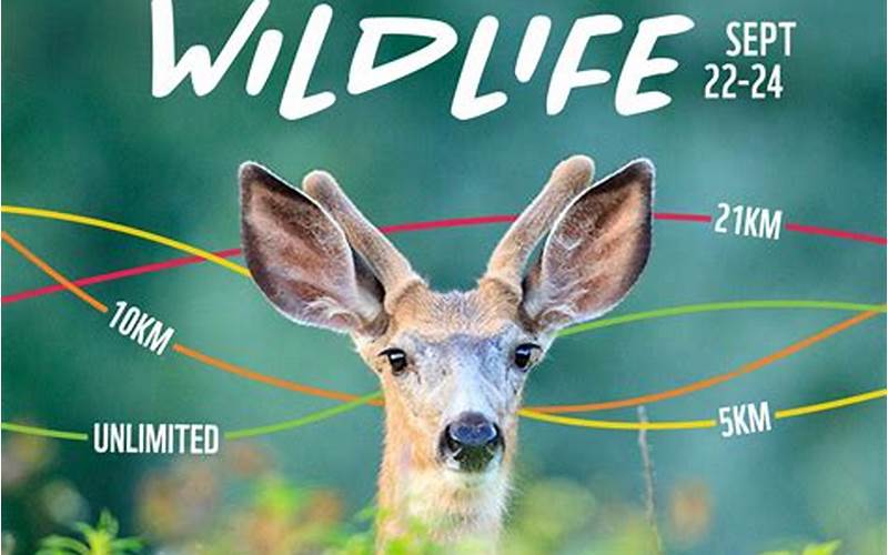 Unleash Your Inner Wildlife Photographer: Register Now!