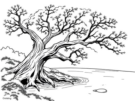 Unleash Your Creativity: Beyond Basic Coloring