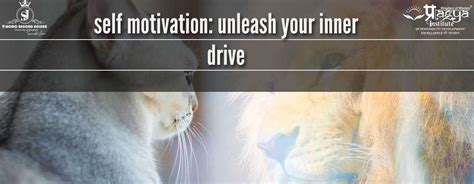 Unleash Your Inner Drive: 10 Expert Tips to Stay Motivated Daily