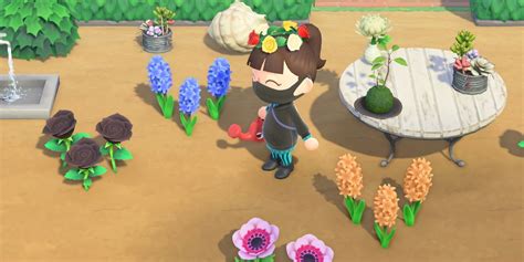 Unlock the Secret to Growing the Perfect Flower in Animal Crossing!