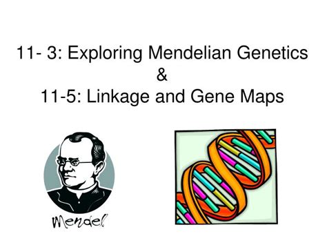 Unlocking Genetic Mysteries: Your Ultimate Guide to 11-3 Exploring Mendelian Genetics Workbook Answers!
