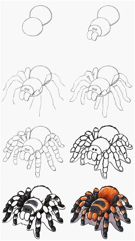 Unlocking the Secrets of Ink Drawing Spider Art Tutorials