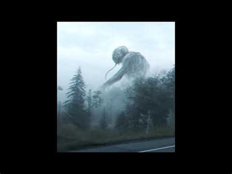 Unnerving Images With Country Roads