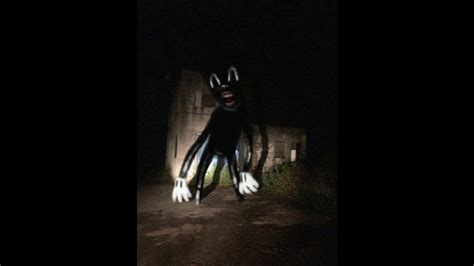 Unnerving Images With Dancin