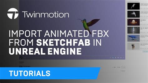 Unreal Engine Animation Import