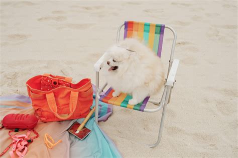 Unsplash Dog On Beach Chair