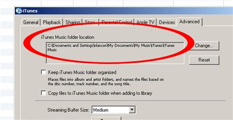 Unveiling the Array of MP3 Download Options