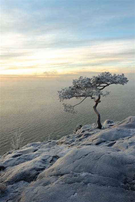 Unwavering Resilience