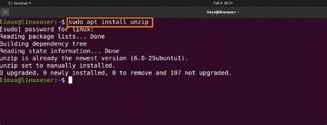 Unzip Files in Linux Terminal